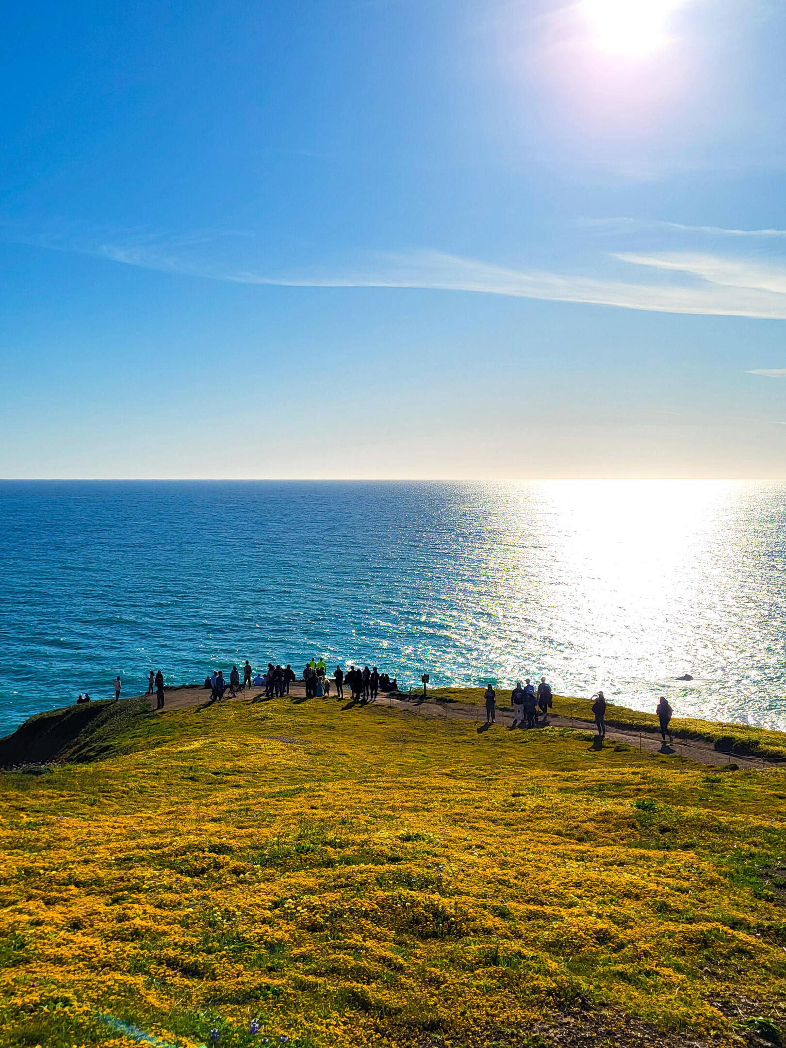 Pacifica Super Bloom